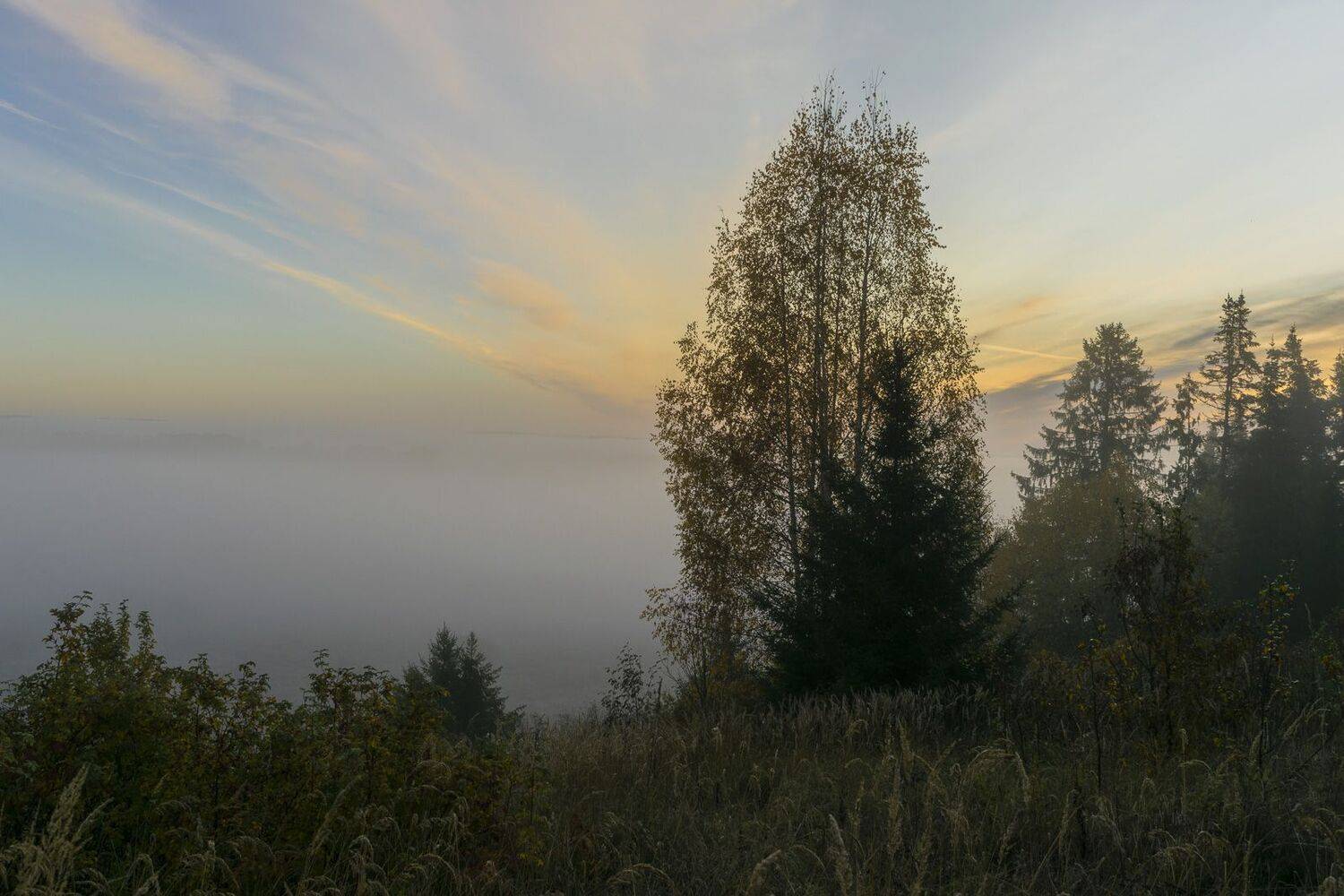 рассвет, туман, береза, небо, лучи, осень, Галина Луценко