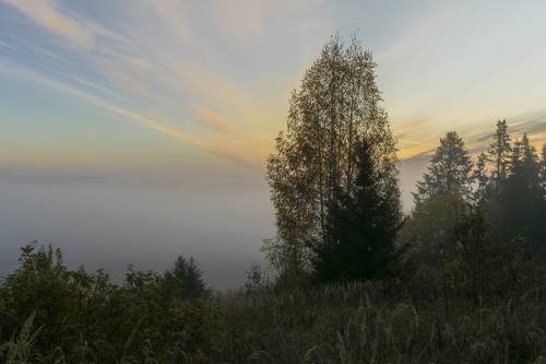 Туманный рассвет