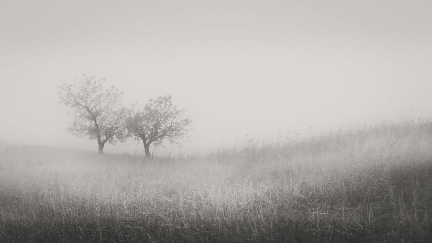 , Евгений Иванов