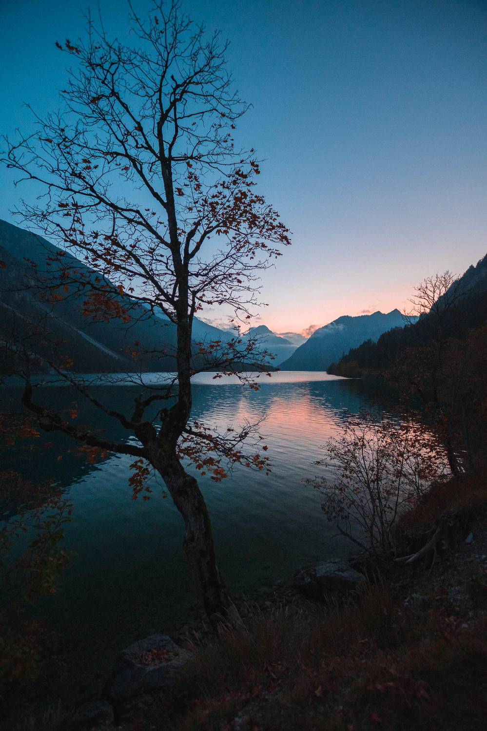 , Дмитрий Рябцев