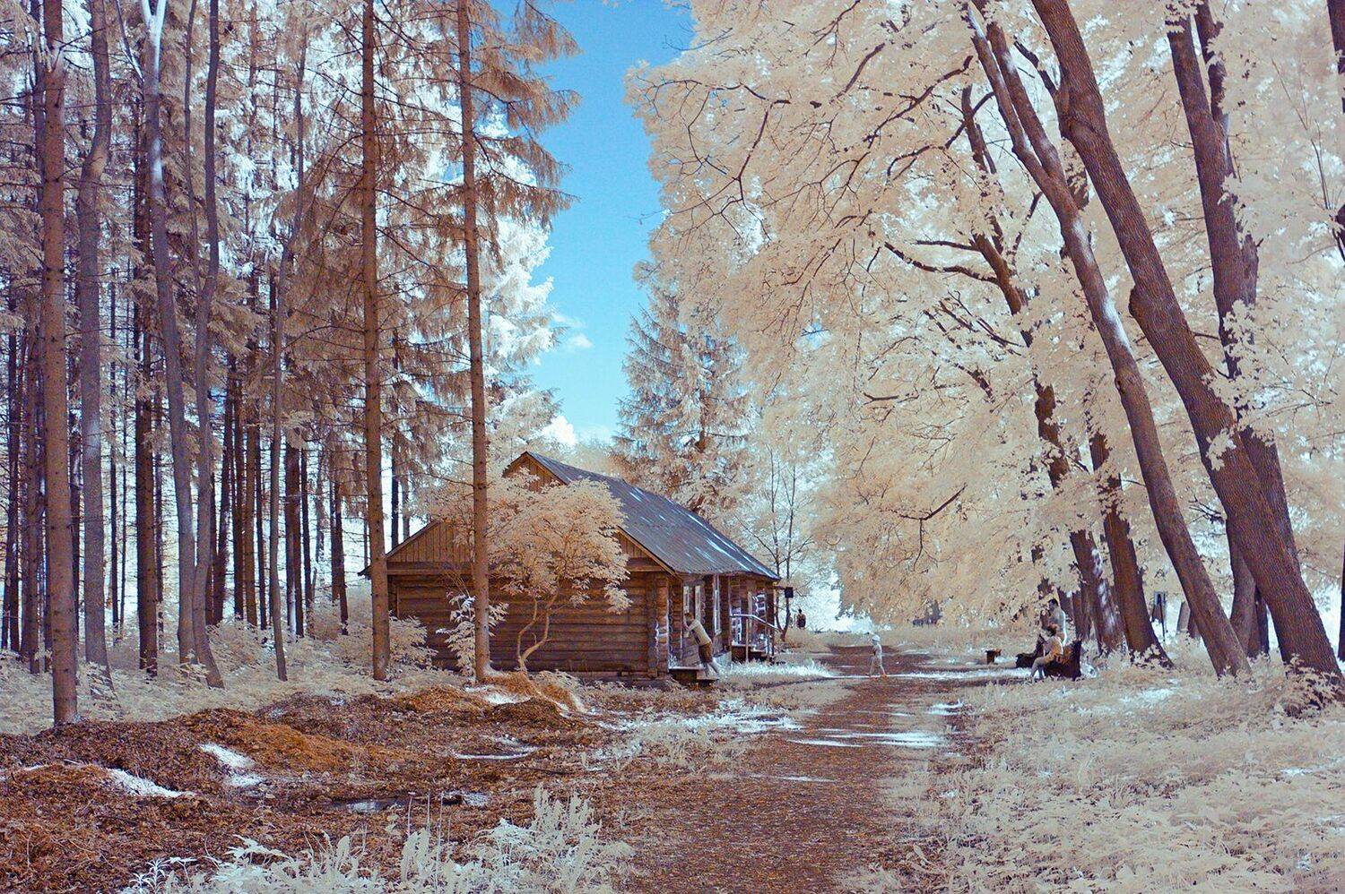 ir, infrared, Козенков Андрей