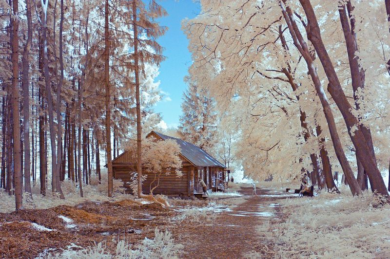 ir, infrared -_- фото превью