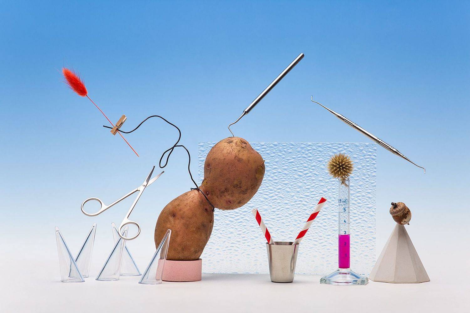 , Александр Сергиенко