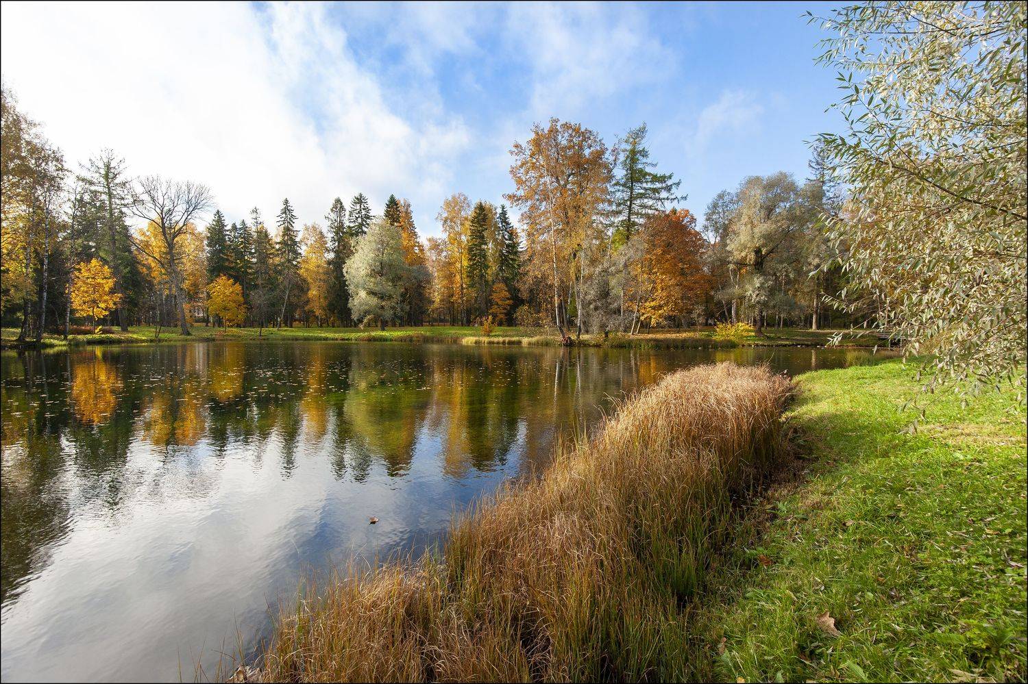 , Георгий Сапожников