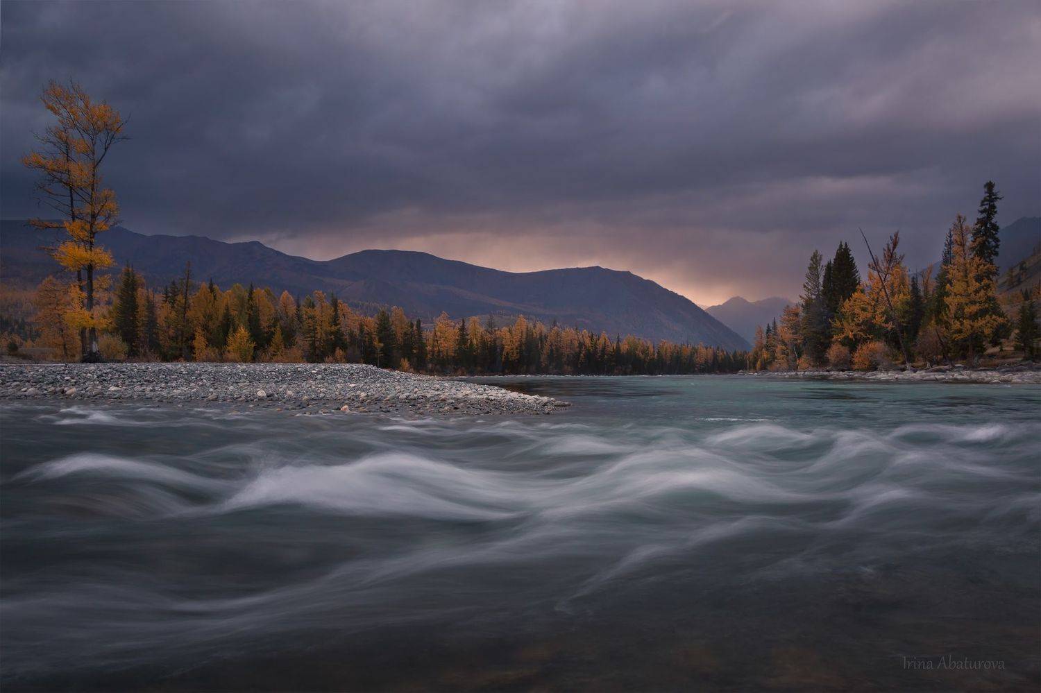 алтай, аргут, река, осень, коксу, джазатор, Ирина Абатурова