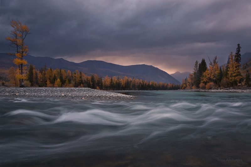 алтай, аргут, река, осень, коксу, джазатор Река Коксу при впадении в Аргут фото превью