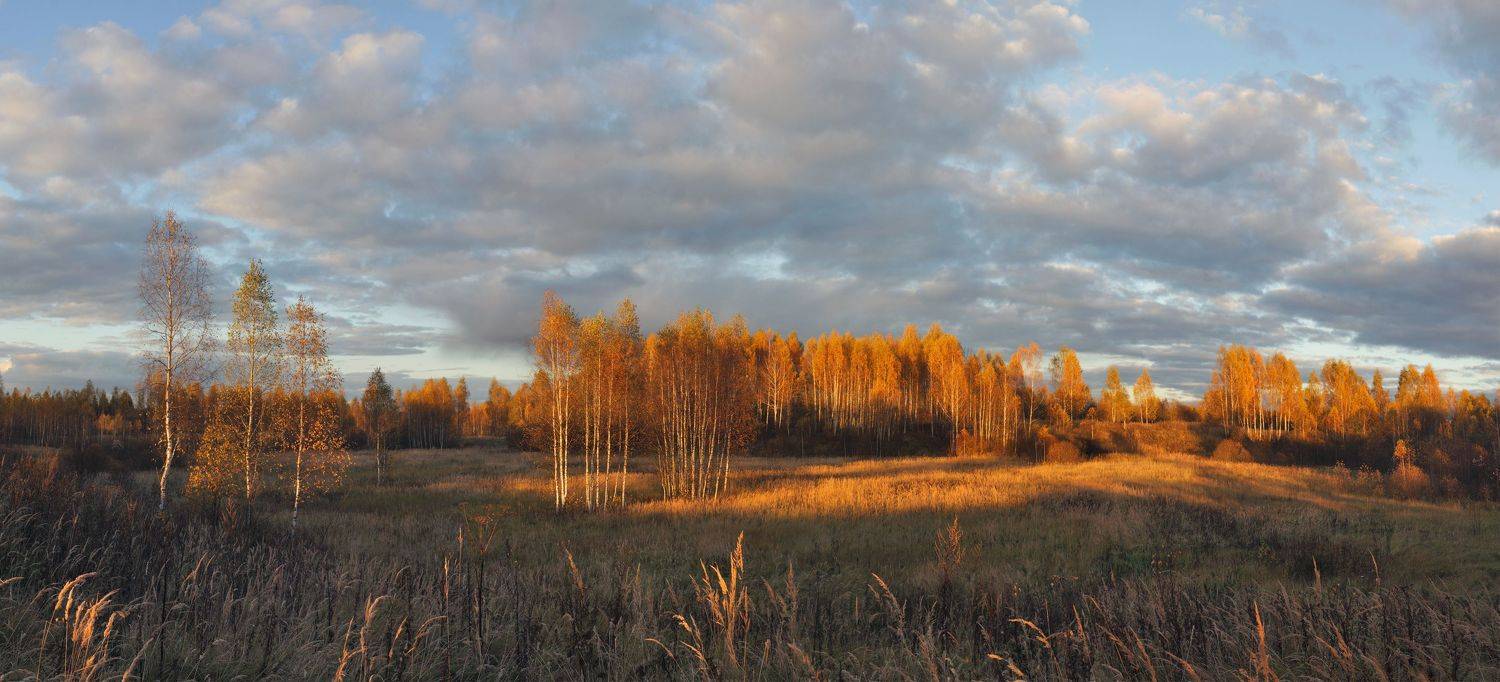 осень , Александр Свистков