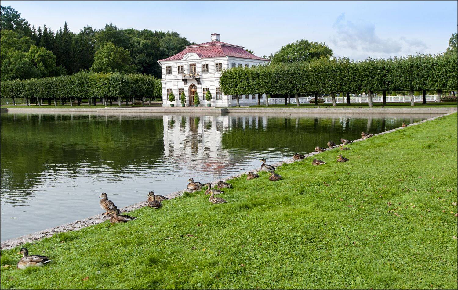 , Георгий Сапожников