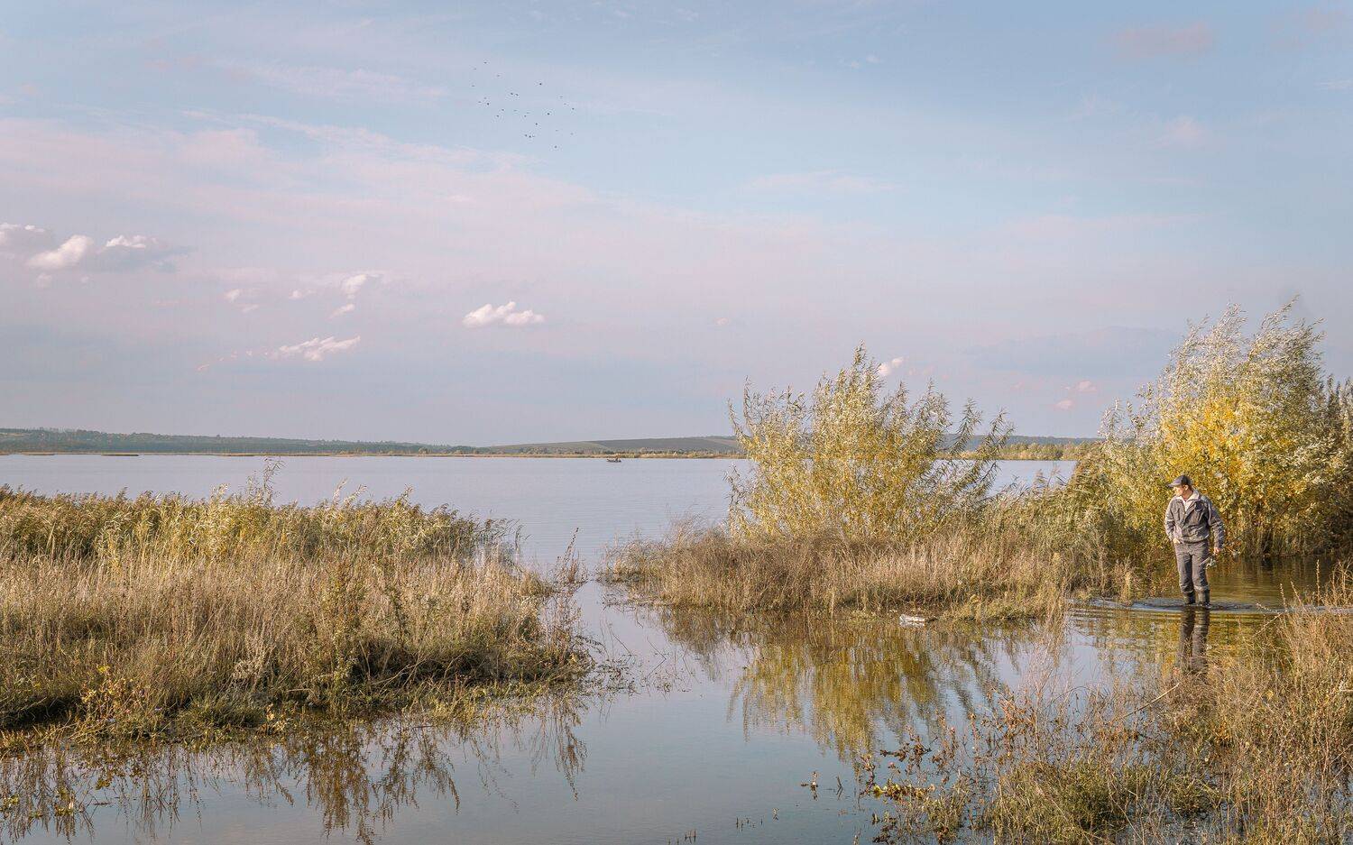 , Юрий Вертиков