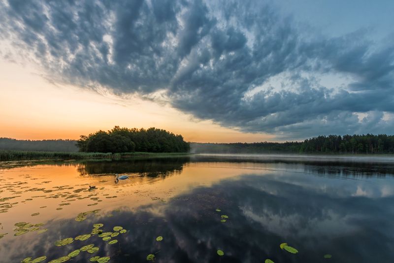 Утро... фото превью