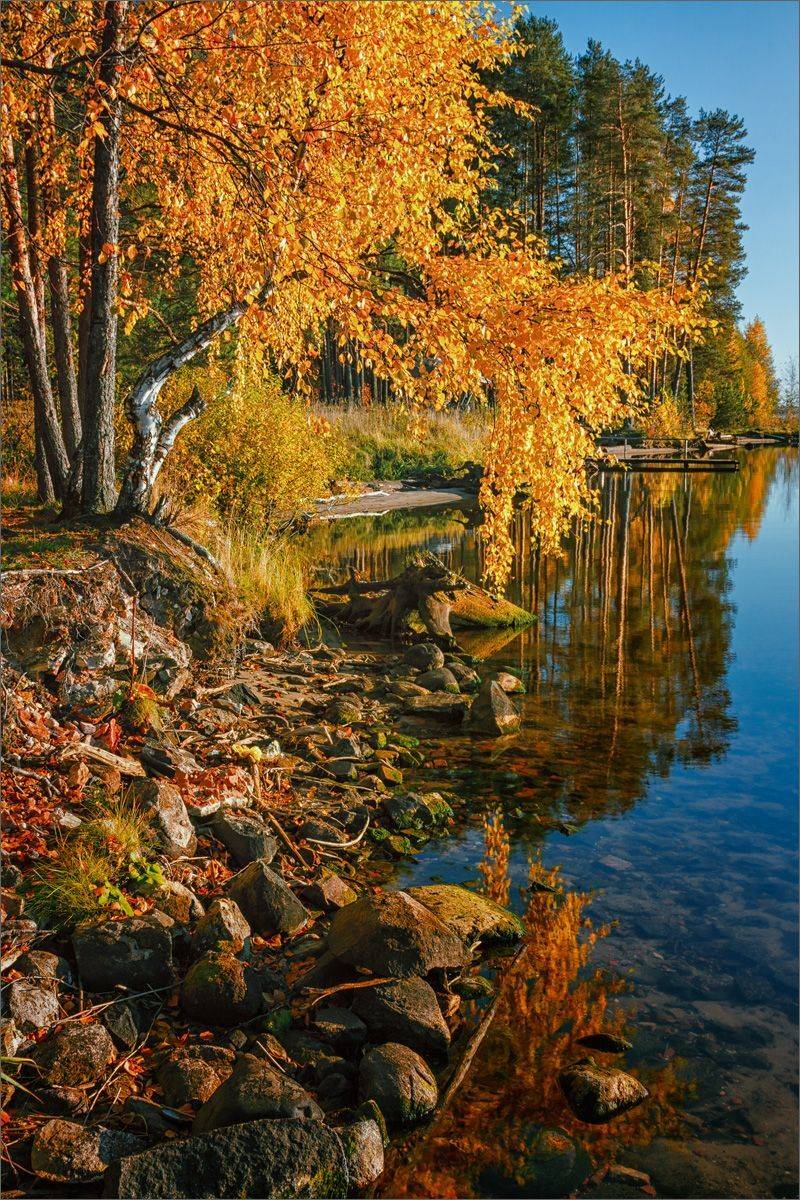 пейзаж, осень, вечер, озеро, отражение, свет, цвет, александр никитинский, Никитинский Александр