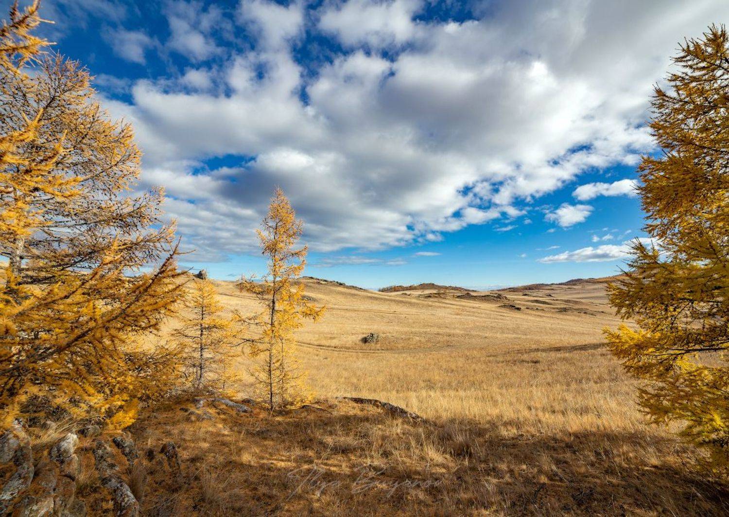 , Буянов Илья