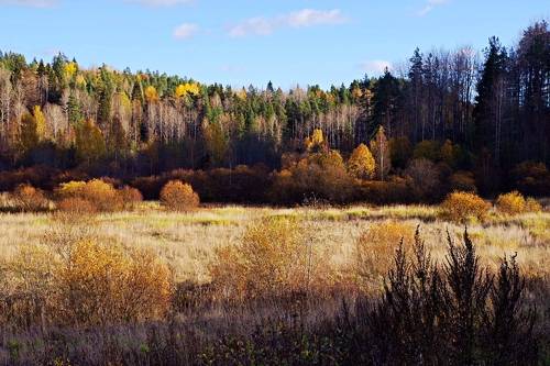 Дорогами осени. Карелия