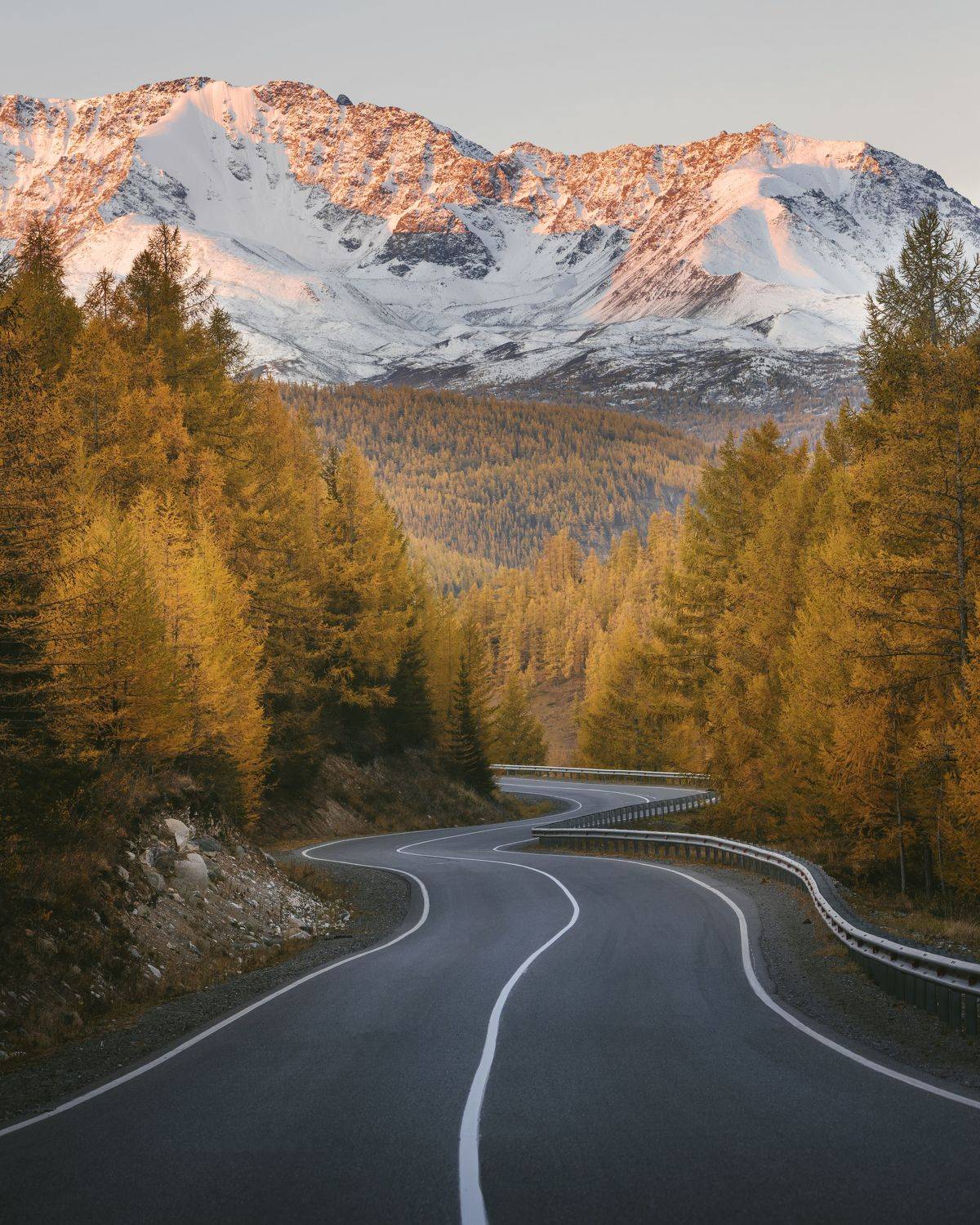 , Разум Митя