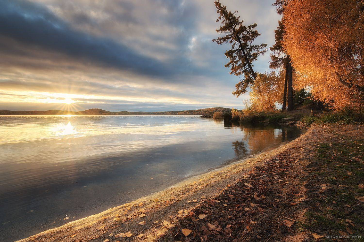 , Антон Кошетаров