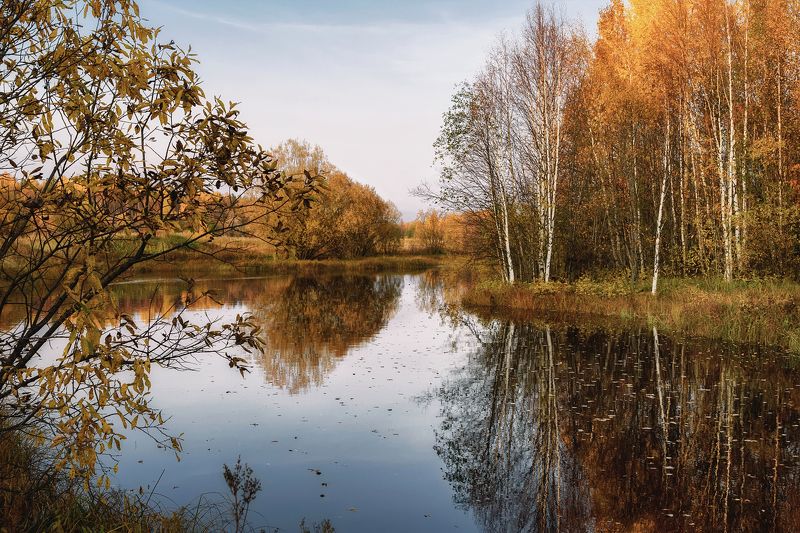 Незаметно уходит осень фото превью