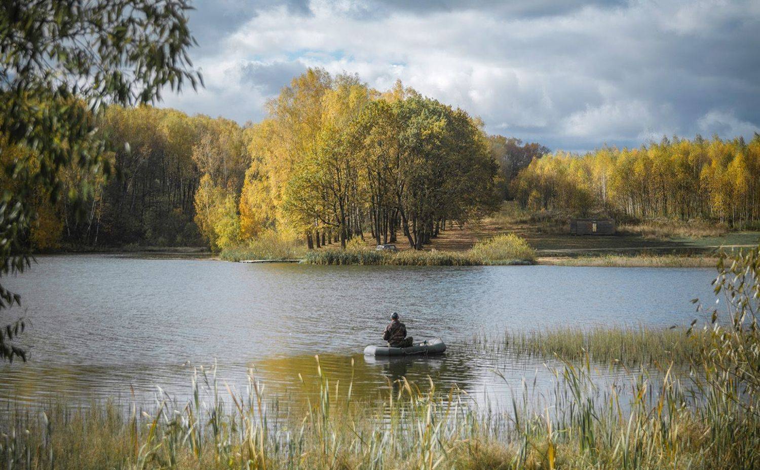 , Анатолий Зверев