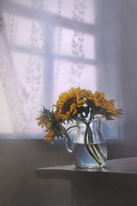 Три солнышка фото превью