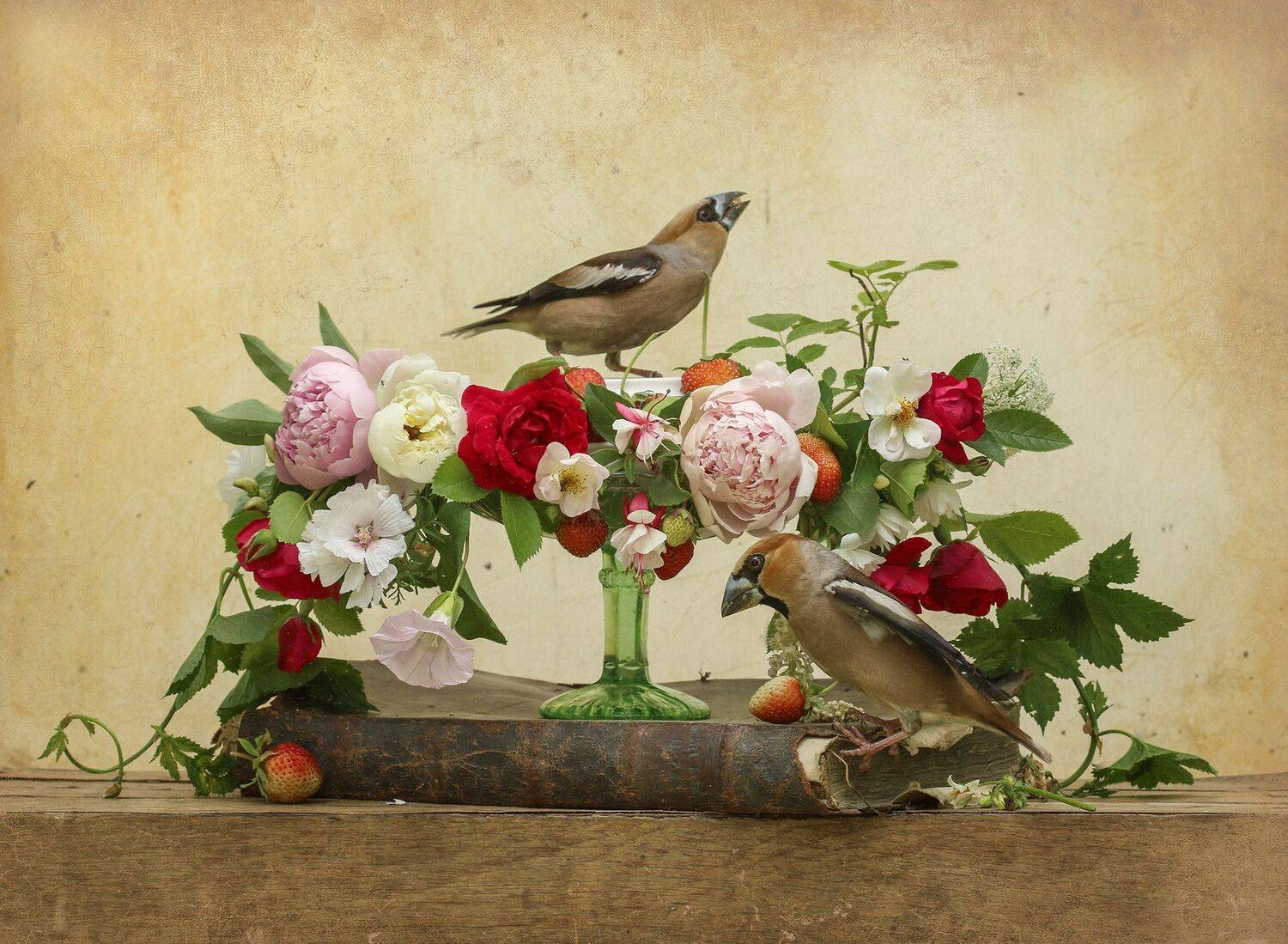 дубонос, Хромушин Олег