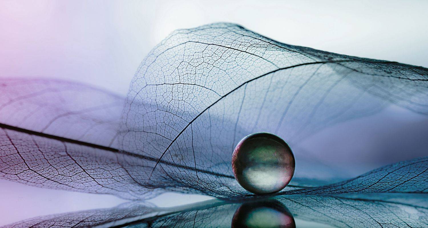 макро, macro, Мария Обидина