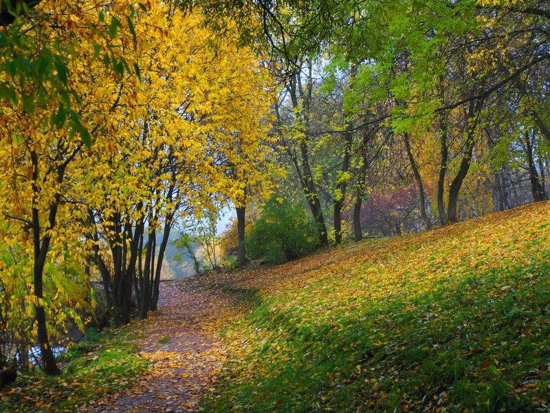 Осень в парке фото превью