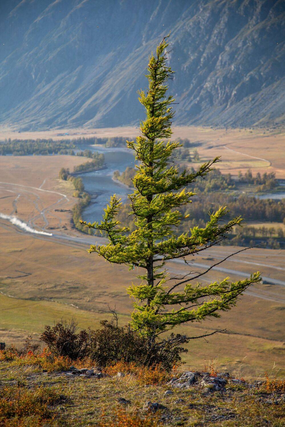 , Максим Подосинников