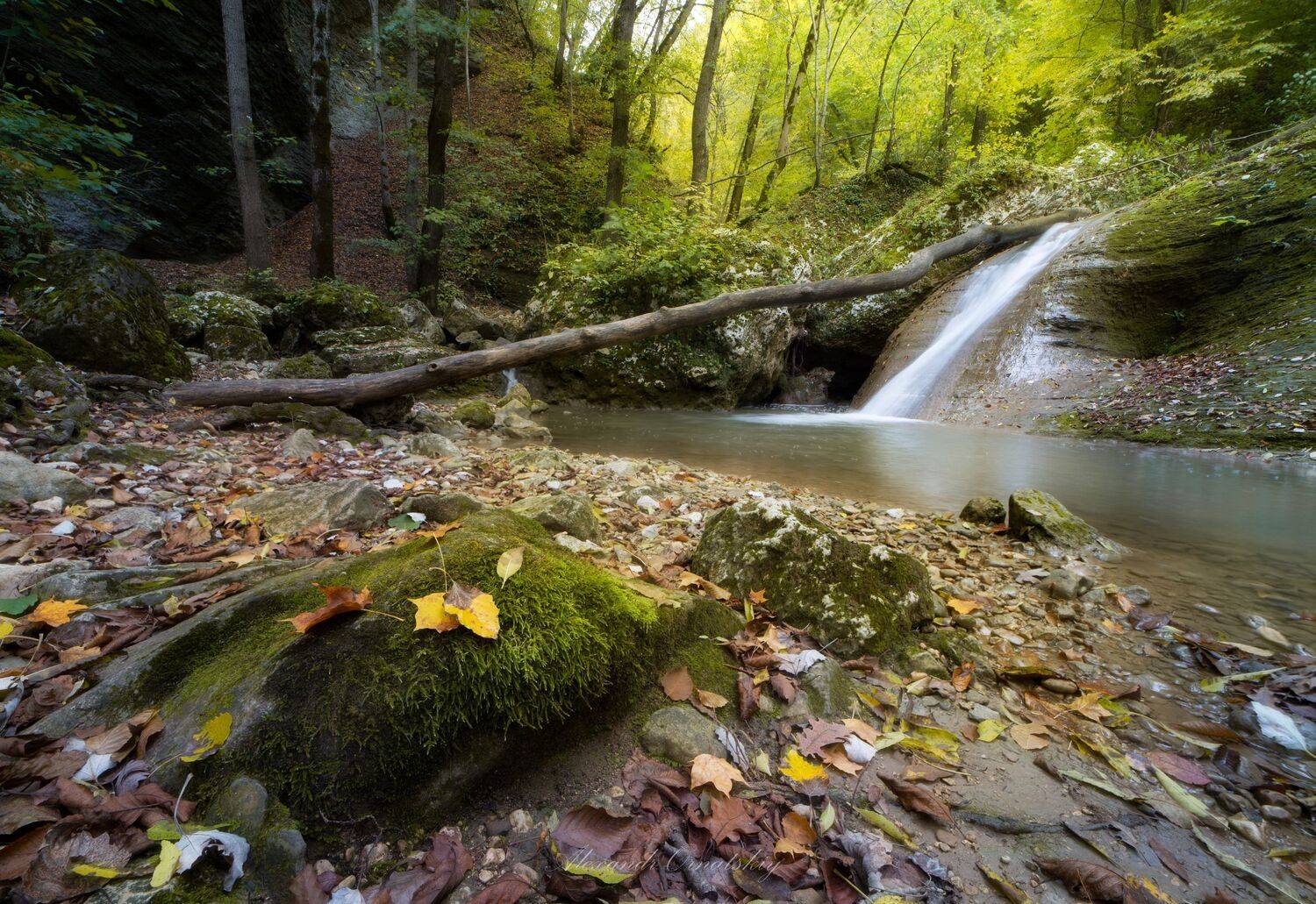 , Alexander Ornatskiy