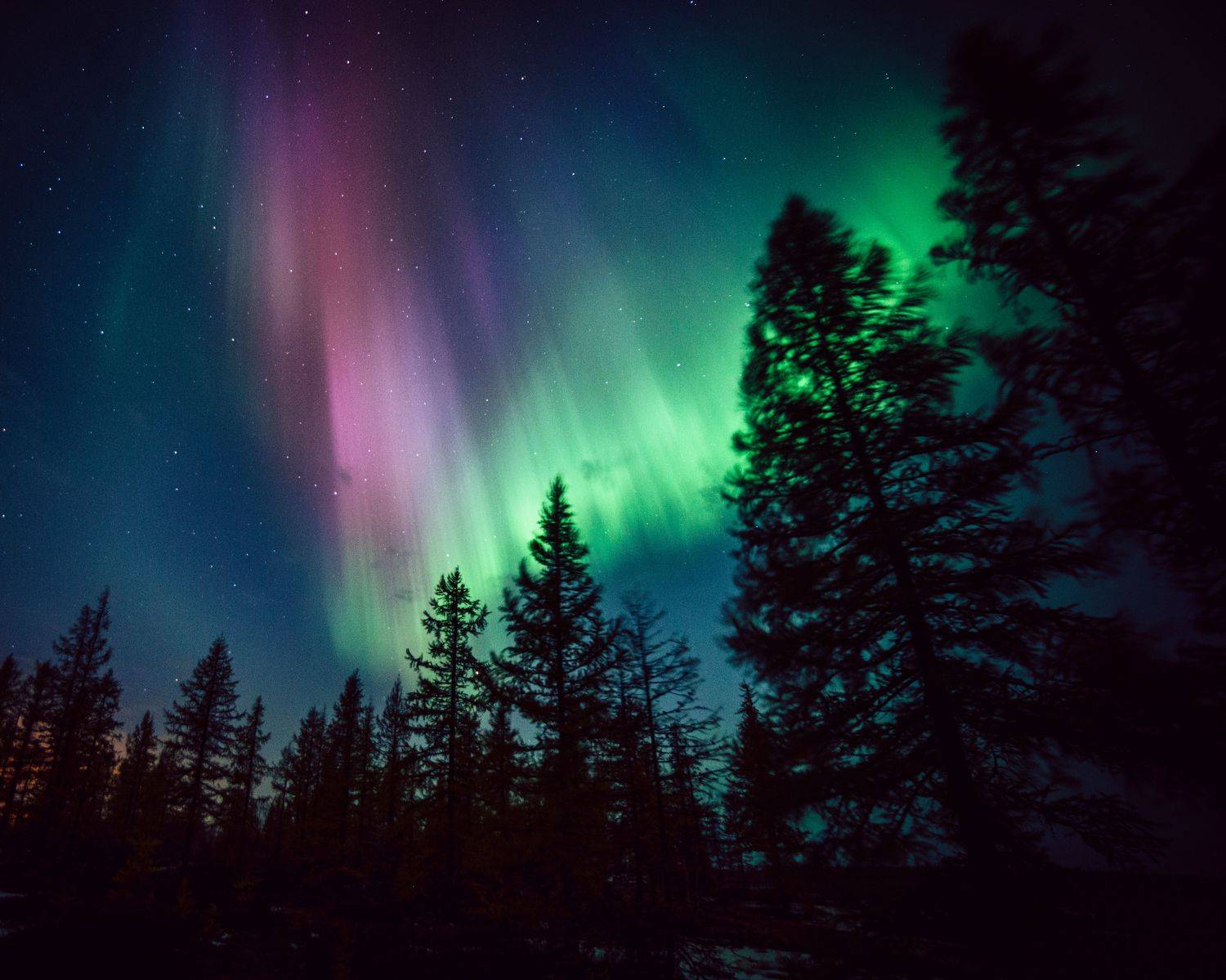 , Нуреев Камиль