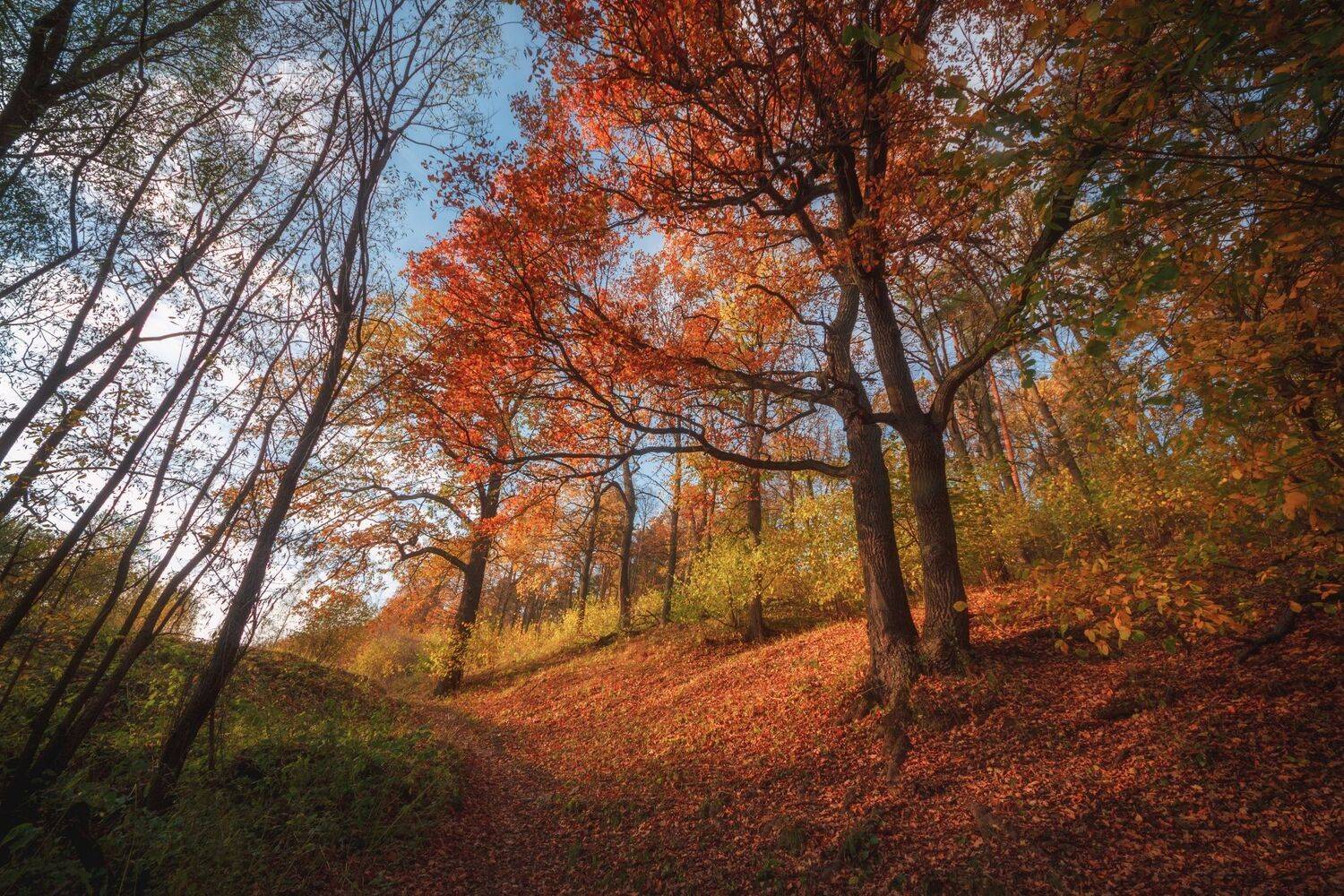 , Котов Андрей