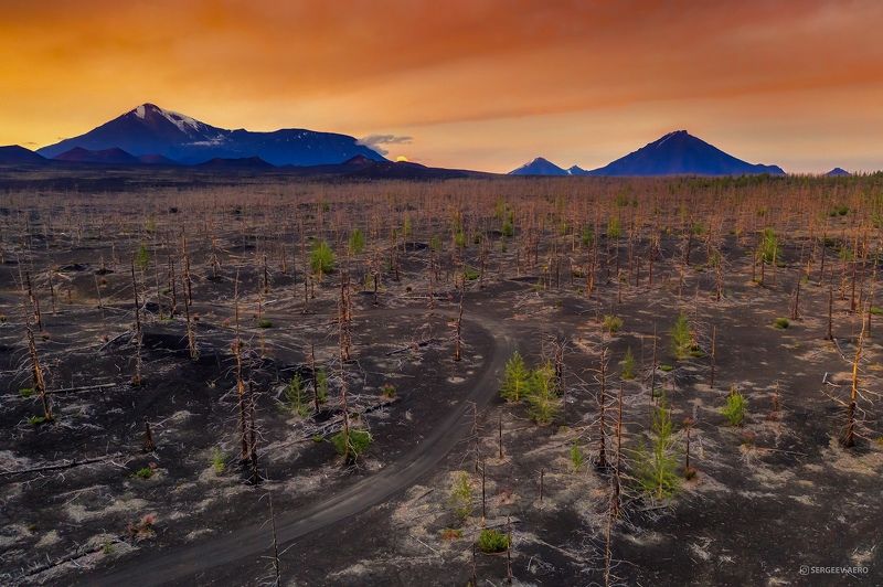камчатка, природа, лес, вечер, погода, мёртвый лес, вулкан, дальний восток, деревья, облака, россия, закат, kamchatka, nature, evening, weather, dead forest, volcano, far east, trees, clouds, russia, forest, sunset Камчатская вечерняя соната | Kamchatka Evening Sonata фото превью