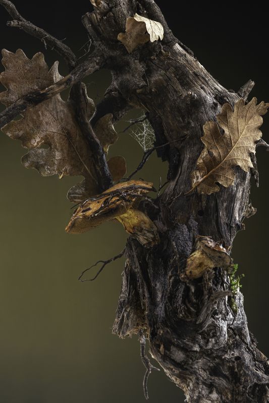 Осень Настроение - Осень фото превью