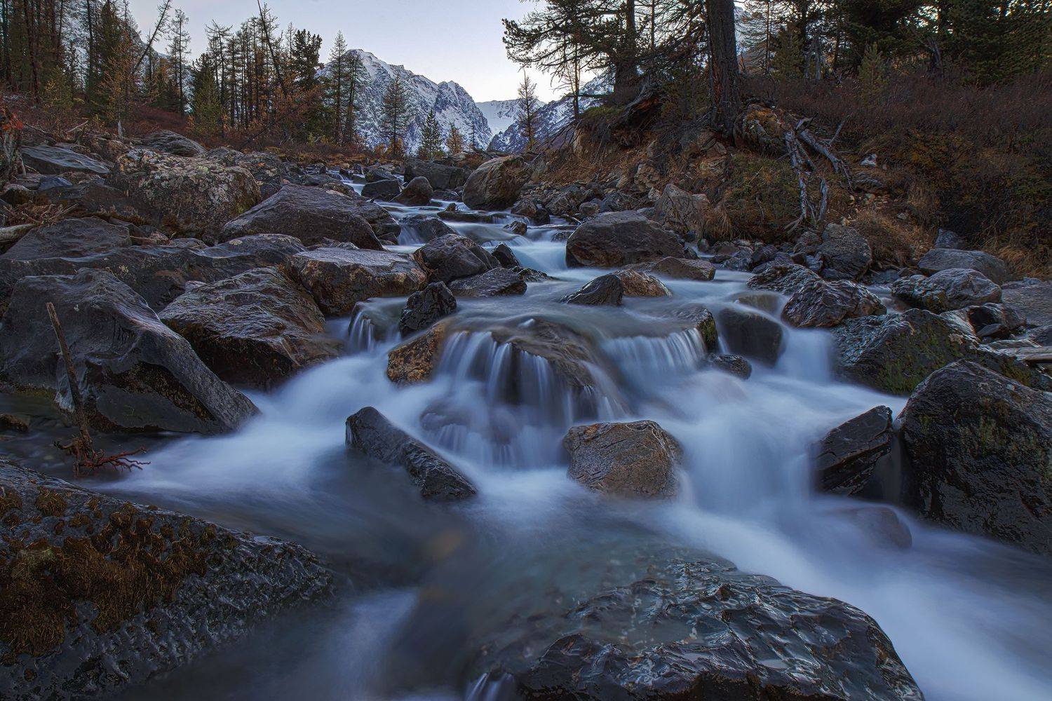 , Морозов Сергей