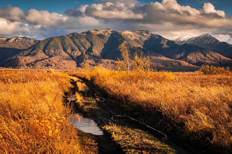природа камчатского края,ганальская тундра ... фото превью