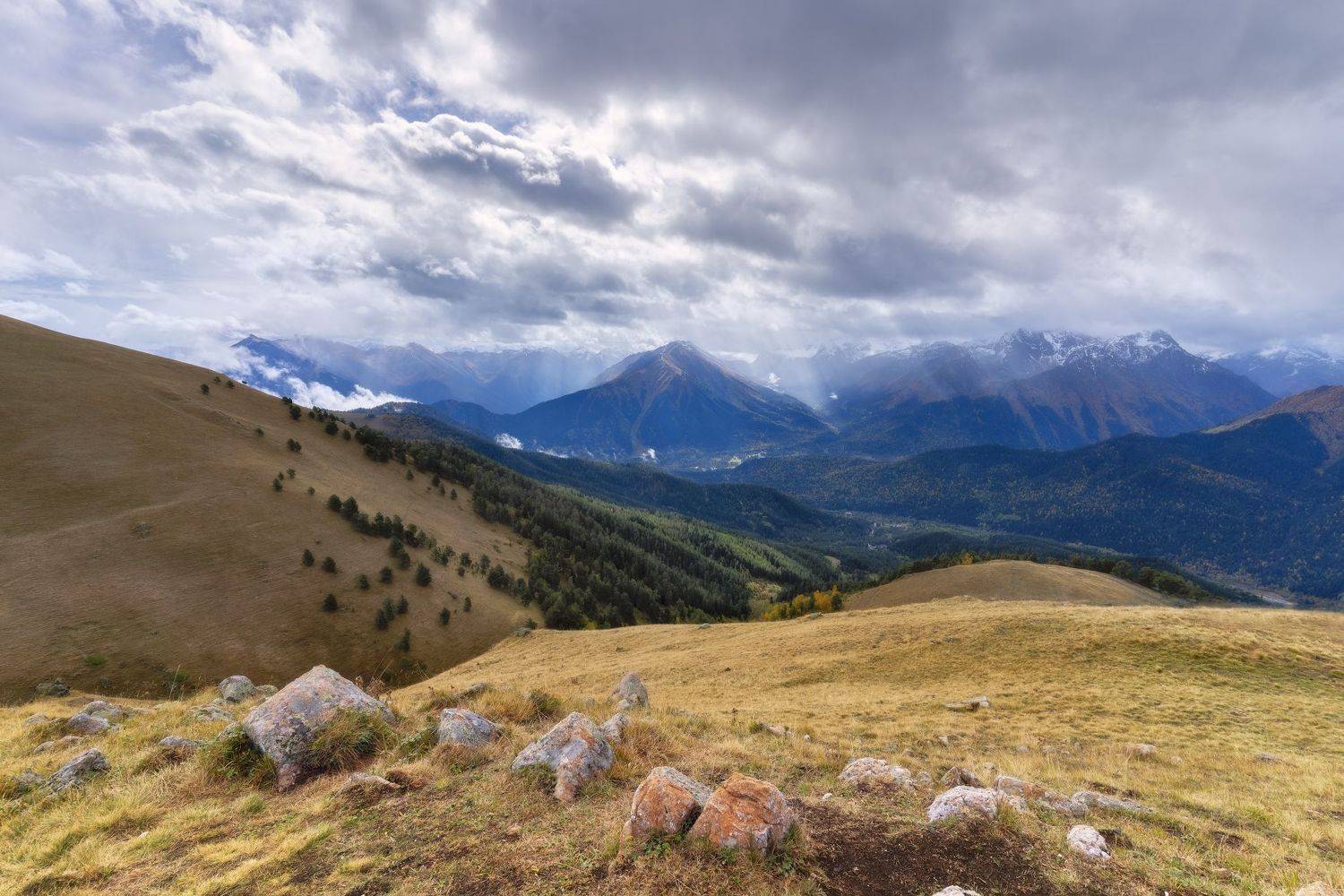 , Юлия Мальцева