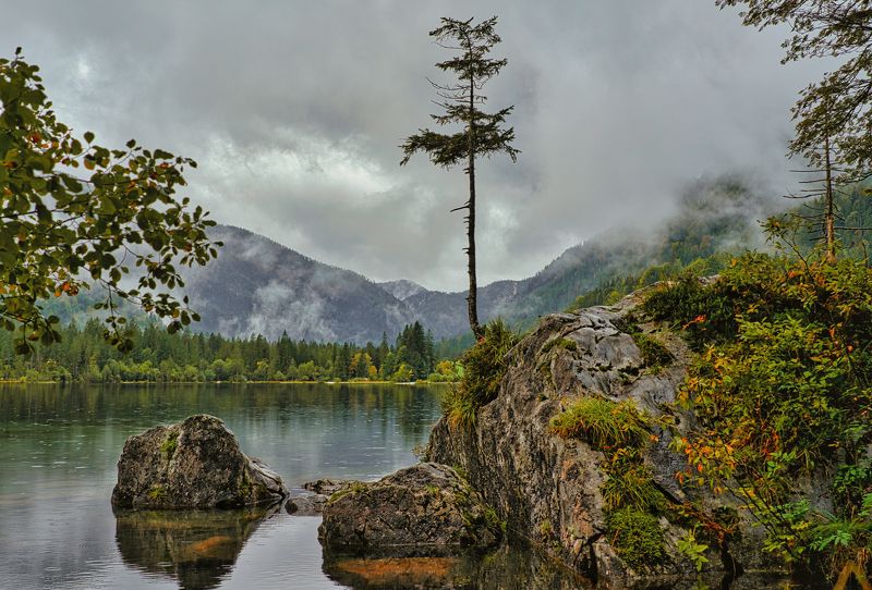 Хмурое утро фото превью