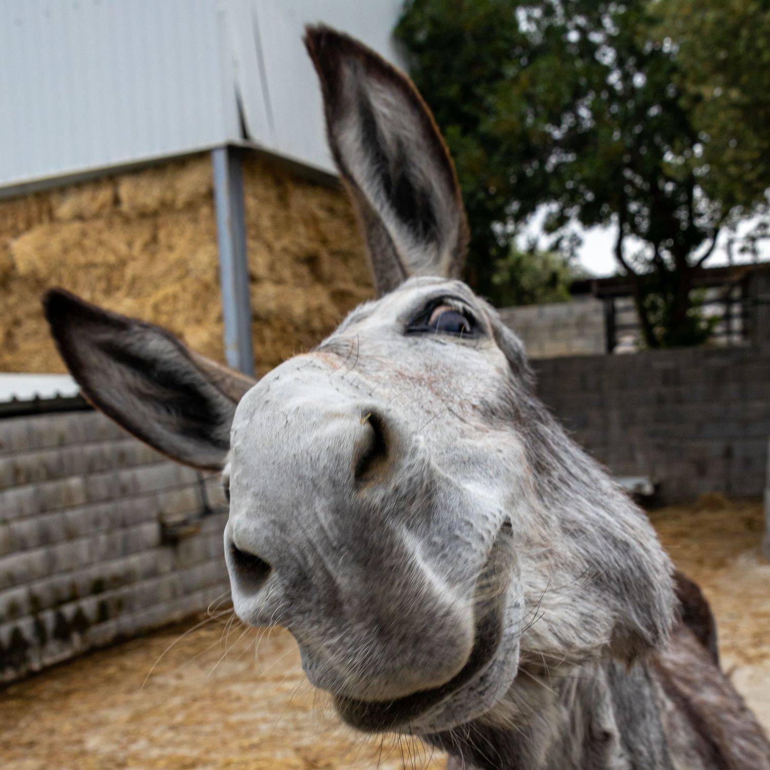 , Игорь Калинин