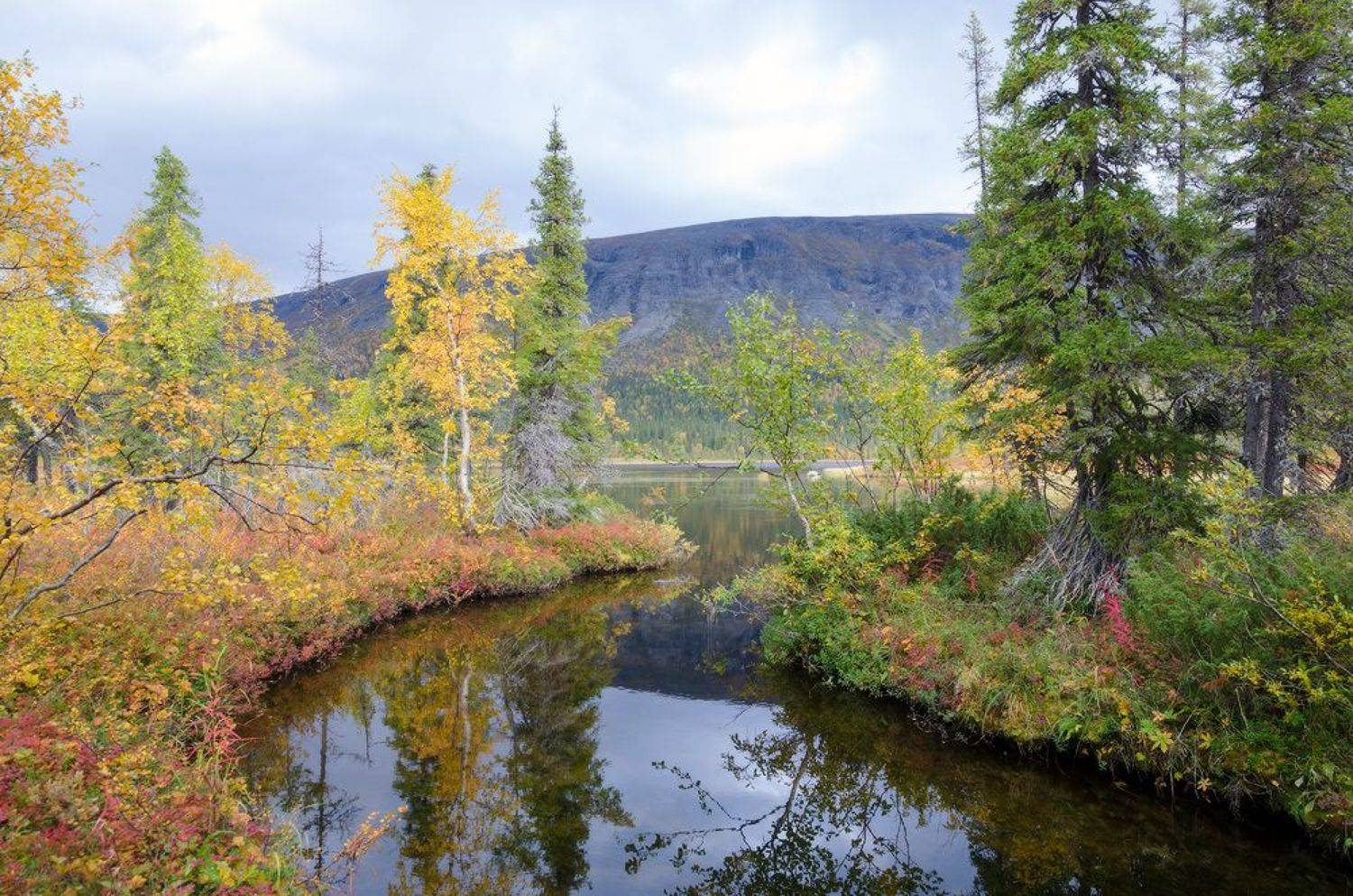 Ловозерские тундры, оз. Щучье, Юсупов Александр