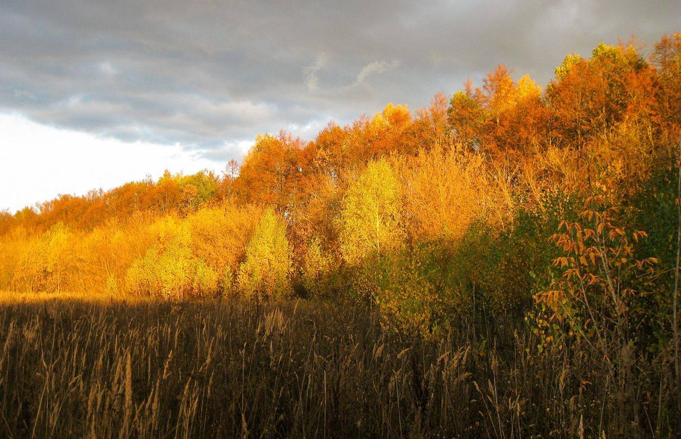 осень, КарОл