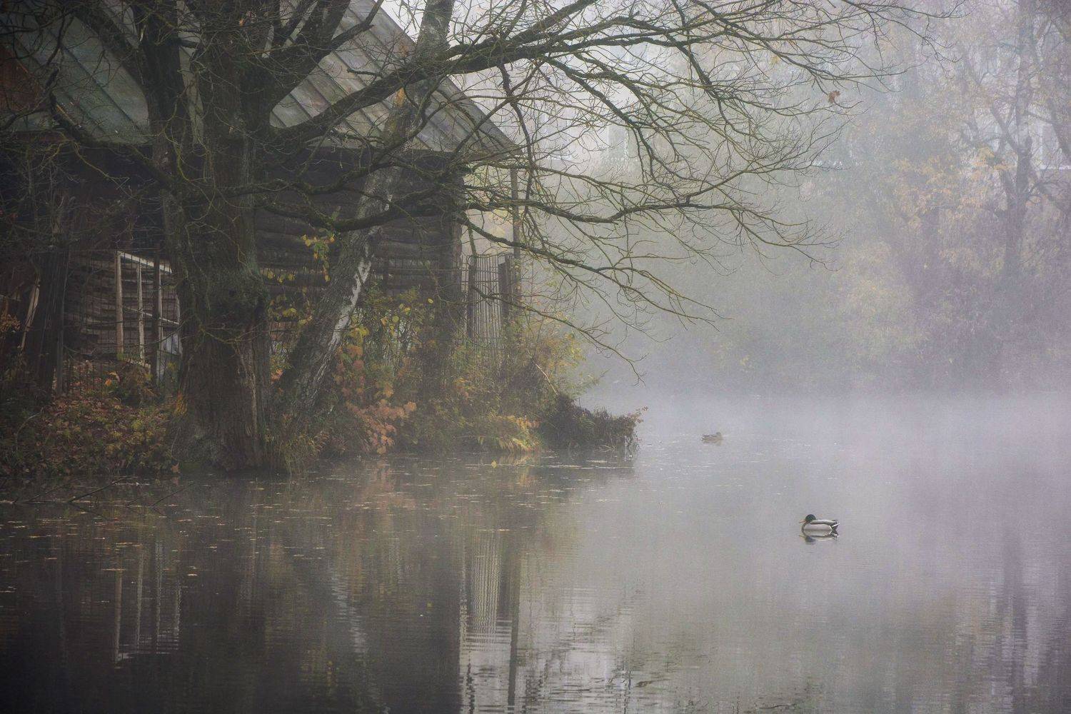 , Юлия Абрамова