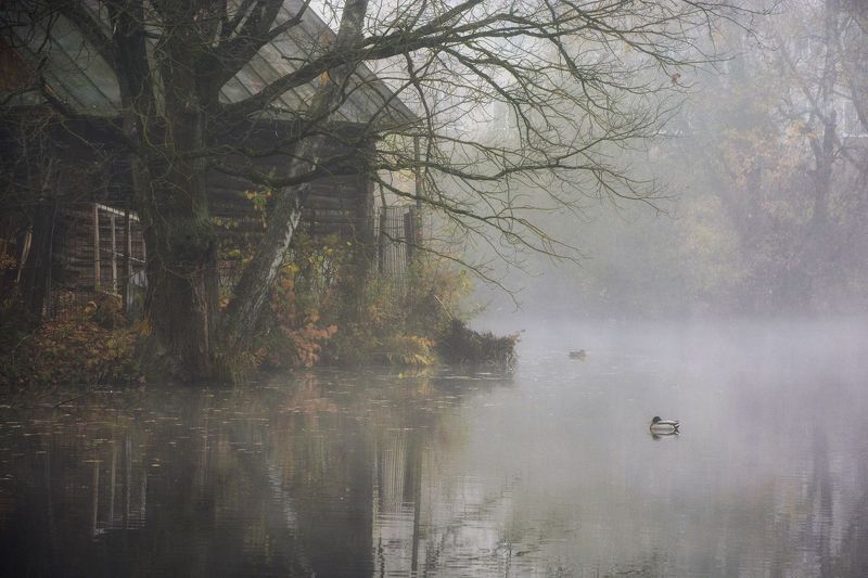 Сонное царство фото превью