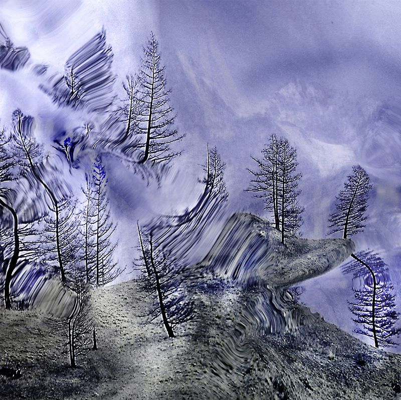 Сортинг фото превью