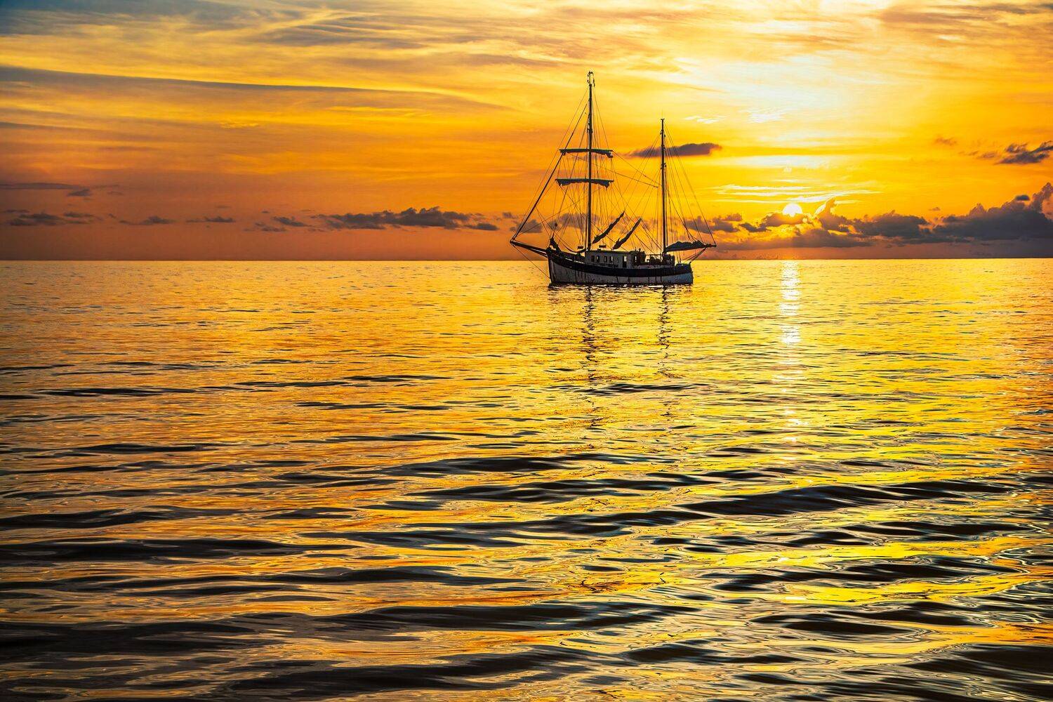 , Шварцман Евгений