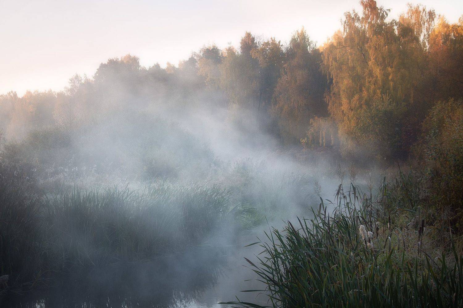 подмосковье, осень, речка, Анастасия