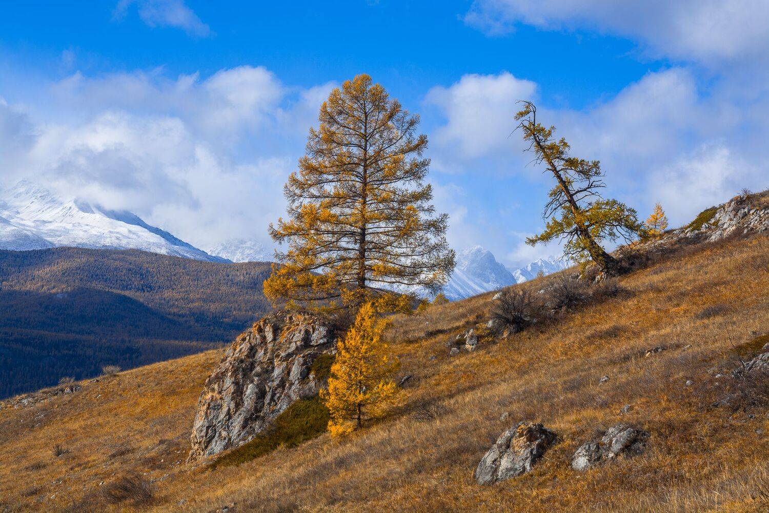россия, горный алтай,осень, Андрей Поляков