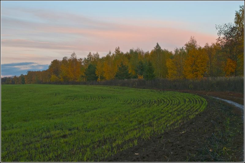 Осенний бал фото превью