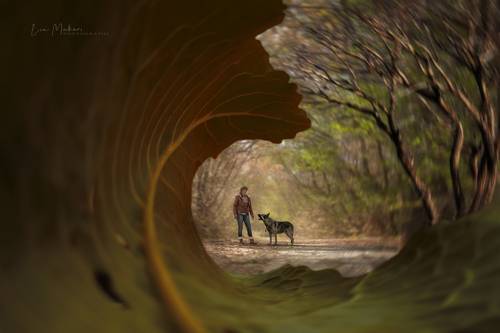 На прогулке