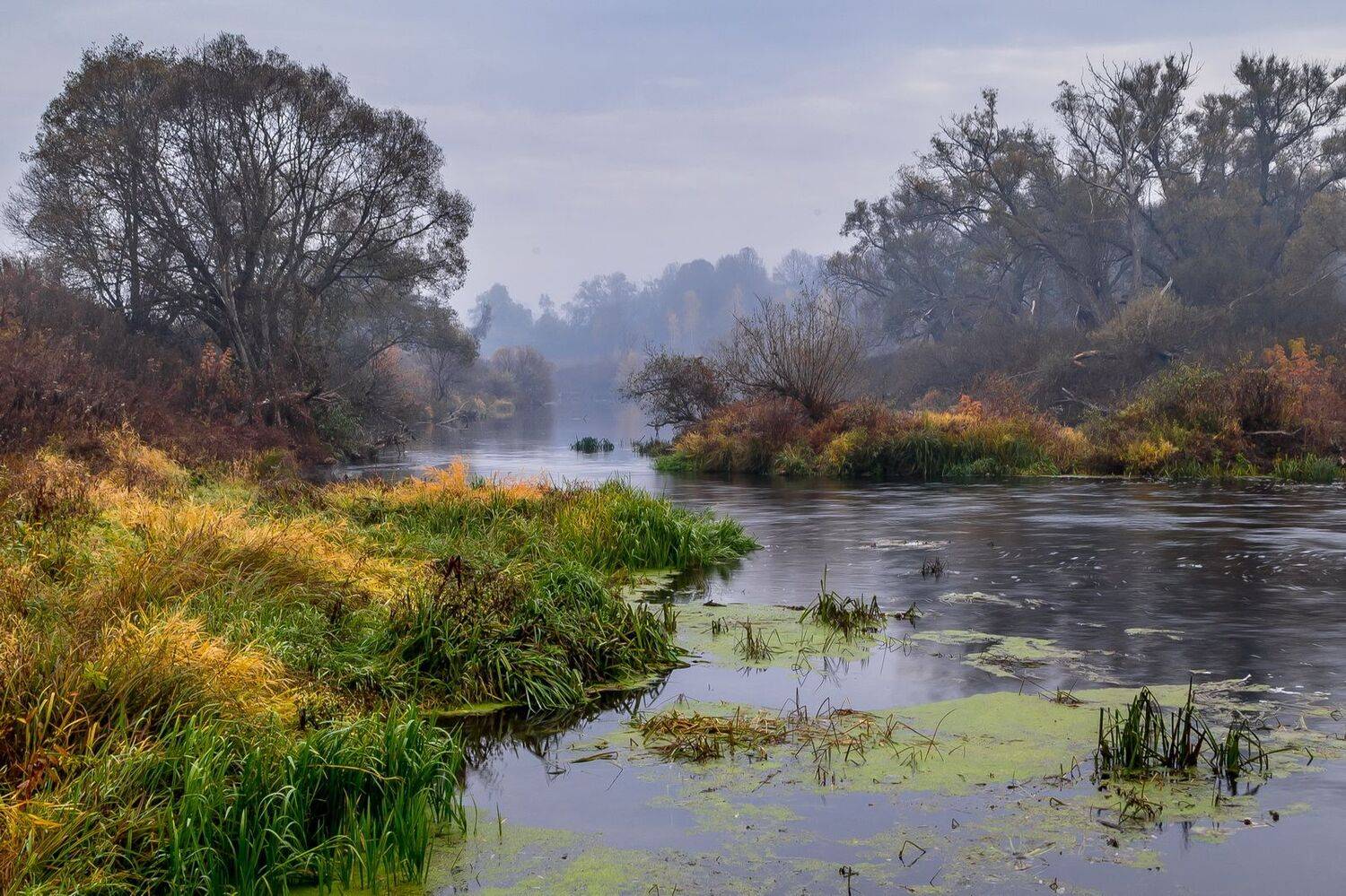 осень, река, пейзаж, утро, прохлада, Юрий Морозов