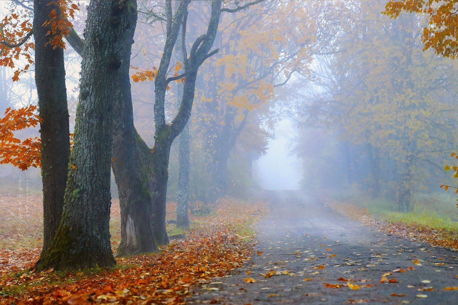 , Инга Иванова