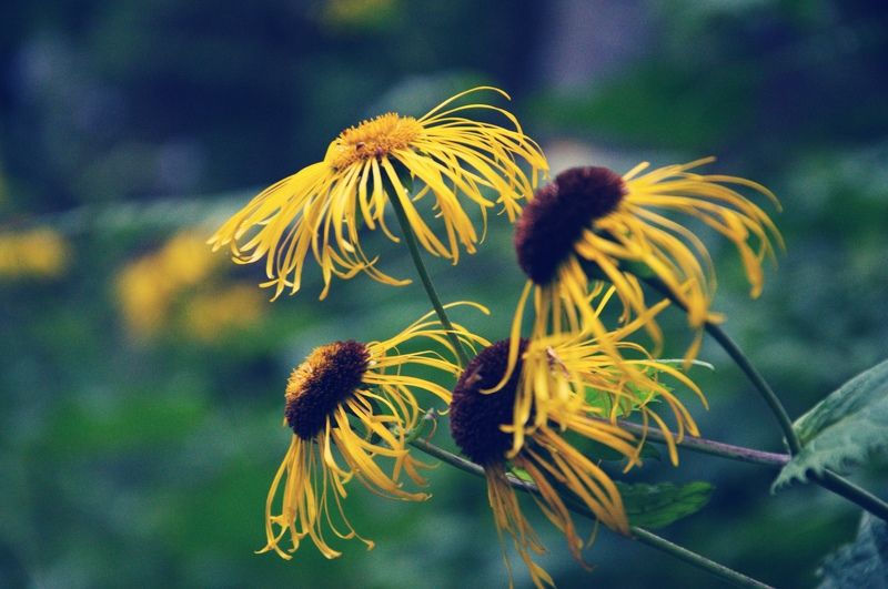 Утро фото превью