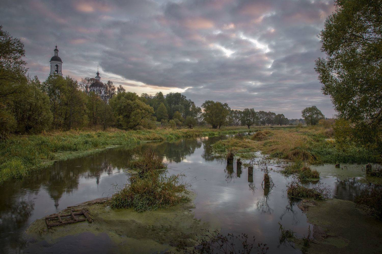 Владимирская область, Гусева Елена